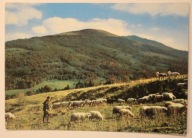 BIESZCZADY. Wypas owiec w Bieszczadach, CZYSTA, 1970 rok