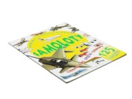 Samoloty Zabawy z naklejkami ciekawostki, zdjęcia i zabawy 125 naklejek