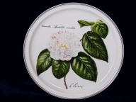 Villeroy&Boch Talerz kolekcjonerski obraz porcelanowy Kamelia Nik.Liex 1993