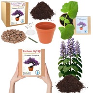 PREZENT WALENTYNKI DLA NIEJ DZIEWCZYNY ŻONY SUPER PREZENT DRZEWKO SZCZĘŚCIA