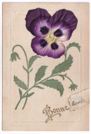 Podklejony Bratek kwiaty ok.1915r. materiał handmade