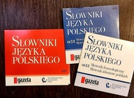 Słownik języka polskiego 3 części CD audio