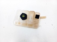 ZBIORNICZEK WYRÓWNAWCZY RENAULT MEGANE IV GT LINE