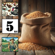 Pszenica Ozima 5kg - prosto od rolnika