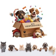 MEGA BOX NIESPODZIANKA DLA PSA| SMACZKI|ZABAWKI| PRZYSMAK|DUŻY ZESTAW