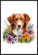 A2 PLAKAT PIES W KWIATACH RASA TOLLER, RETRIEVER Z NOWEJ SZKOCJI