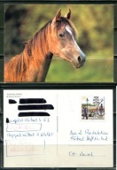 K24693)Karta Zwierzecia: Kon Arabski, wyslany