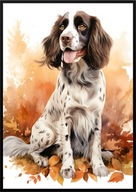 A2 59,4x42 PLAKAT OBRAZ PIES ANGIELSKI SPRINGER SPANIEL, JESIEŃ AKWARELA