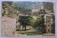 Sorauer Walde Sorau Żary Zielony Las