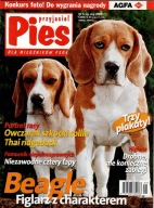 Przyjaciel Pies 5/2003