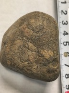 Agat mszysty muszlowy