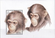 Gambia 1996 ** cena 6,50 zł kat.6€ - fauna, małpy