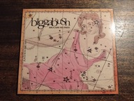 BIGGABUSH Bigga Bush Free CD stan idealny UNIKAT