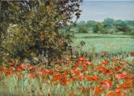 W zbożu" obraz olejny na płótnie 30x40cm , oryginał Garncarek Al,,,