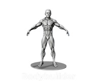 Wrestler 3D – figurka kulturysty z żywicy 15 cm w stylu superbohatera