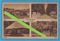 SPAŁA POZDROWIENIA PAŁAC GRZYB ŻUBR FRAG. ALEI NR 4 NAKŁ. CH. WAJSSA /PG19