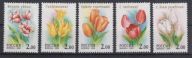 Rosja ** - tulipany