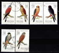 Polska ( Fauna - Ptaki - Sokoły ) 1975 r.