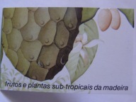 Portugalia - Madera - owoce tropikalne - zeszycik znaczkowy - Mi. MH-10 **