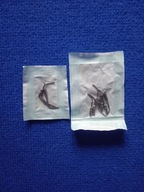 Końcówki do skalera - zestaw 10 sztuk