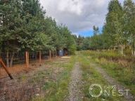 Działka, Krępa, Prażmów, Piaseczyński, 1178 m²