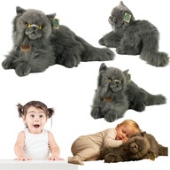 PLUSZAK MASKOTKA KOT KOTEK PERSKI PLUSZOWY DUZY SZARY ZABAWKA PLUSZOWA XL