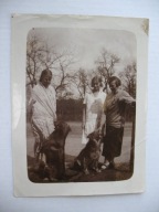 NIEWIASTY PIES PSY przedwojenne FOTO