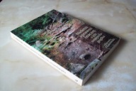 NIELETNI SPRAWNI INACZEJ I ICH ORTOPEDAGOGIKA MAKOWSKI