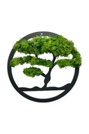 PREZENT OBRAZ MECH CHROBOTEK DRZEWKO ŻYCIA ŻYWY OBRAZ DRZEWO BONSAI