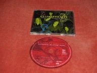 Alice in Chains Heaven Beside You 1996