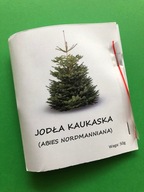 Nasiona Jodły Kaukaskiej JODŁA KAUKASKA 50 GRAM