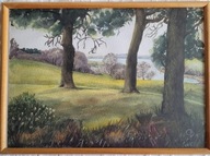 OBRAZ pejzaż AKWARELA sygnowany 52/37 CM