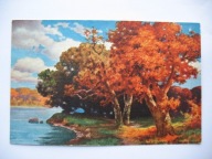 ZAGINIONY ŚWIAT WIECZORNA CISZA NAD RZEKĄ STARE DĘBY przedwojenna POCZTÓWKA