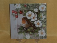 Bradex Kolekcjonerski talerz ozdony płytka Davenport Anglia Ptaki Kwiaty