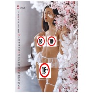 Sexy dziewczyny kalendarz 2026 naked girls ogniste naked gołe laski panie