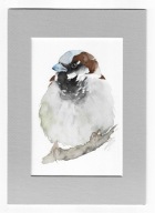 wróbel, ptaki Polski, akwarela z passe-portout, oryginał