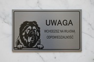 Tabliczka uwaga pies Owczarek kaukaski Srebrna, złota duży wybór wzorów