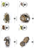 A45349)WWF-FDC Gady i Plazy: Monaco 2046 - 2049