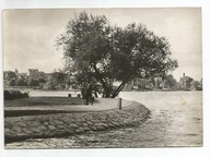 Ostróda, Nad jeziorem, -o149