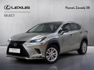 Lexus NX 300h F Impression AWD I (2014-2021) 300h