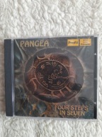 PANGEA FOUR STEPS IN SEVEN