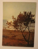 Nad Bałtykiem CZYSTA