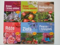 Drzewa i krzewy x 6 zestaw