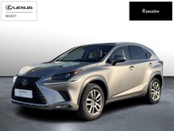 Lexus NX 300h Comfort AWD I (2014-2021) NX300h Com