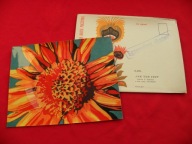 SIPIŃSKA ALIBABKI jak tam jest POCZTÓWKA DŹWIĘKOWA Ruch 1971 NOWA