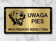 Tabliczka uwaga pies Labrador retriever złota duży wybór wzorów