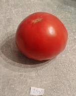 Pomidor Ave Maria (253) nasiona kolekcjonerskie