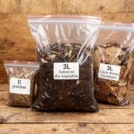 Zestaw hodowlany mini dla isopodów (wije, isopody, chrząszcze, owady)