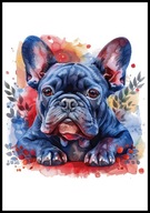 A2 OBRAZ PLAKAT PIES PUPIL PLAKAT BULDOG FRANCUSKI