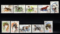 ZSRR / 2811-2820 ( Fauna - Psy myśliwskie i służbowe ) 1965 r.